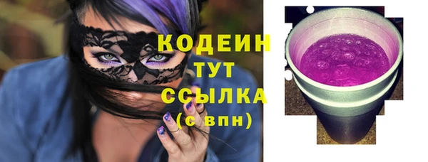 гидра Горняк