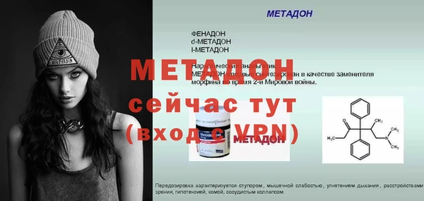 гидра Горняк