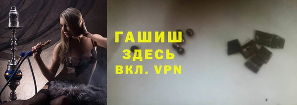 гидра Горняк