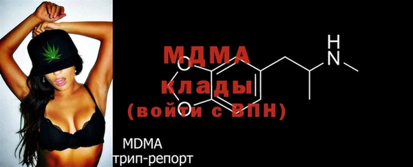 гидра Горняк