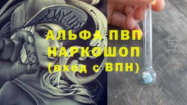 гидра Горняк