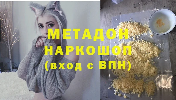 гидра Горняк
