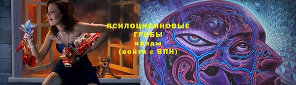 мдпв Тайга