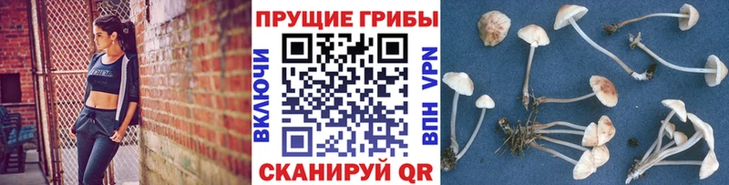 где продают наркотики  Рязань  Галлюциногенные грибы мицелий 